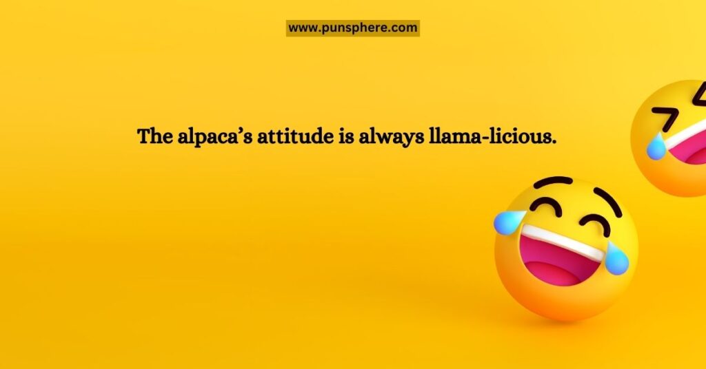 Alpaca Puns One-Liners