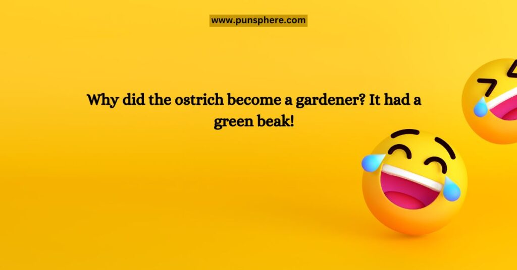 Popular Ostrich Puns
